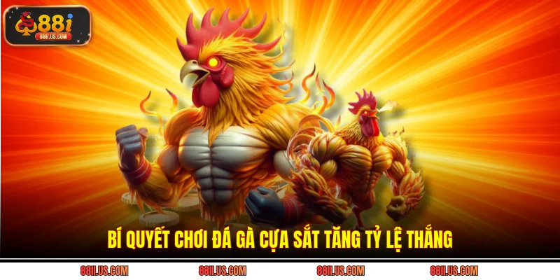 Bí quyết chơi đá gà cựa sắt tăng tỷ lệ thắng