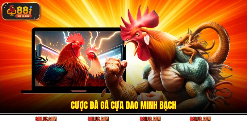 Cược đá gà cựa dao minh bạch