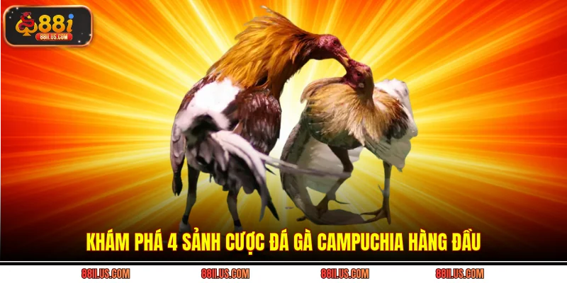 Khám phá 4 sảnh cược đá gà Campuchia hàng đầu