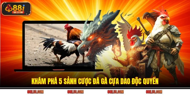 Khám phá 5 sảnh cược đá gà cựa dao độc quyền