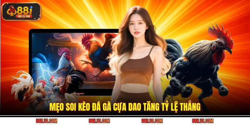 Mẹo soi kèo đá gà cựa dao tăng tỷ lệ thắng