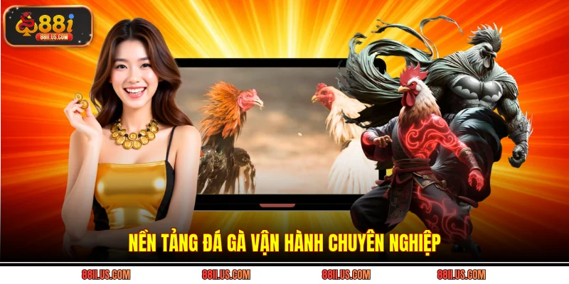 Nền tảng đá gà vận hành chuyên nghiệp